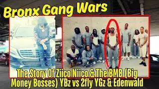 Bronx Gang War - The Story Of Ziico Niico & The BMB (Big Money Bosses) YBz vs 2fly YGz & Edenwald