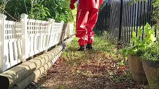 Sadie Helps Explore the Garden