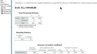 Cronbach's Alpha: 95% CIs in SPSS