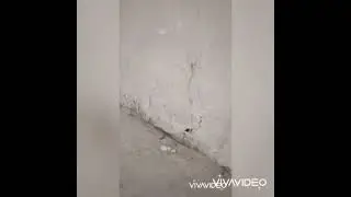 Лазерный уровень с приемником 100 метров!