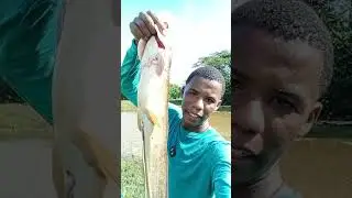 Ya yo estoy preparado con mi cena