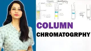 Column chromatography I Techniques I Basic and Detail Explanation