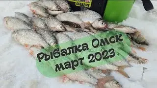Чебак в марте. Рыбалка в Сибири .Омск 2023