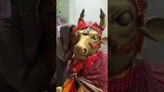 Asking #Nandin to grant￼ wishes #india