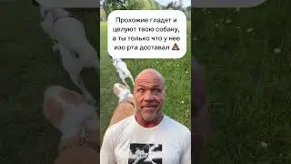 Почему собака продолжает подбирать? Рассказала в комментариях #кинолог #собака #упражнениядлясобак