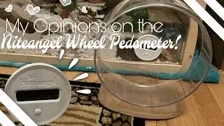 My Opinions on the Niteangel Wheel Pedometer!