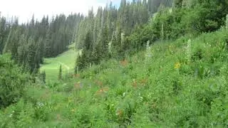 Guided Shamanic Pachamama Mother Earth Meditation for Grounding,  Relaxation and Releasing Stress