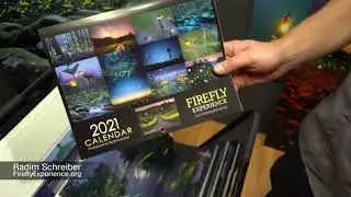 Firefly Experience Calendar 2021