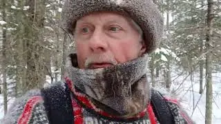 Cedar Swamp Deer Yard Comes Alive...Buckman