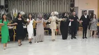Hasan Çelik & Rojbin Abi. Düğün Gecesi. Halay 2. 27.06.2024