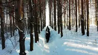 МО РГО Калтасинский район