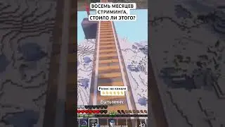 Восемь месяцев стриминга, стоило ли этого? #streamer #игра #game #twitch #youtubeshorts