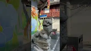 Упоротая жаба в Китае