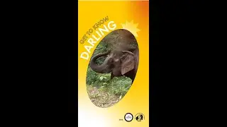 Get to know Darling! | Wild Animal Unique Personality Award 2024