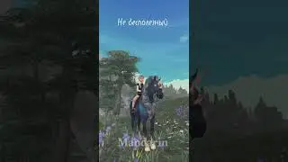 Не ну извините🤣 #horse #sso #starstableonline #starstable #edit