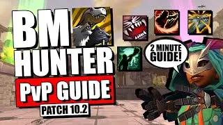ULTIMATE Beast Mastery Hunter PvP Guide Dragonflight Season 4