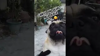 Pagod sa byahe ito yong gamot. Hehe