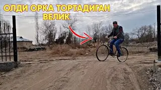 КУНИНГ ШУНГА КОЛДИМИ АЛИ ЭГАМ ДЕМАНГ 🤣🤣