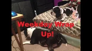 April 21 Weekday Wrap Up!