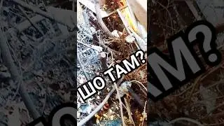 Что Скрывается под Домиком Уточек???