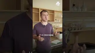 Химия в кино вранье