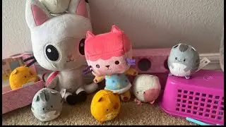 Our hamster kitties ESCAPED!! Help us find them!