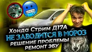 Хонда Стрим, не заводится в мороз, решение проблемы, ремонт ЭБУ.