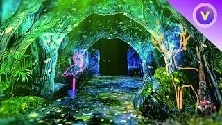 Paradise Background | Tropical | Relaxing | Free Video