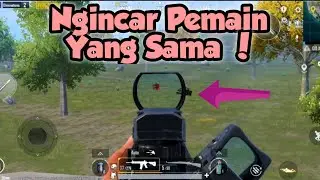 Wkwkwk ! Rebutan Mangsa !
