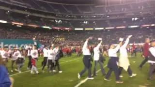 Poinsettia Bowl Field Walk