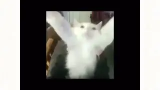 boing
