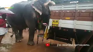 ഇവൻ കാണാൻ മൊഞ്ചൻ തന്നെ 👌 മനസ്സിലായോ??