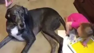 Nena pinta con la cola de su perro
