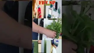 10 inventos Más WTF De UNNECESSARY INVENTIONS parte 7