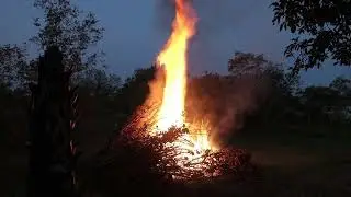 Early morning brush Burn