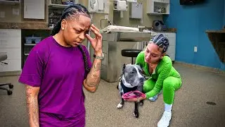 Emergency Trip to the Vet for Our Dog!