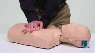 Prestan Professional Adult Manikin