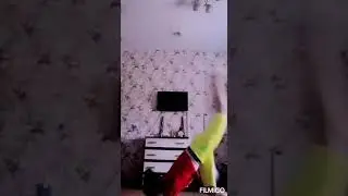Гимнастика