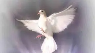 Послания от Высших Сил 🕊🔥