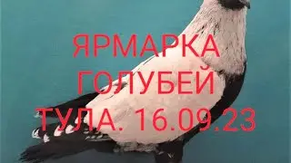 СБОРНАЯ ЯРМАРКА ГОЛУБЕЙ 16.09.23 ТУЛА