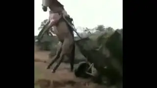 realidade de muitos favelados 😭✊ vitória chegou irmão 🙏