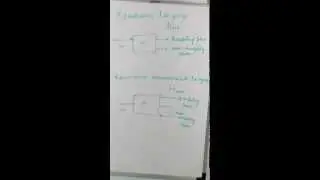 Recursive and Recursive enumerable language