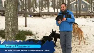 KALEVALA 2014 / будни каюра