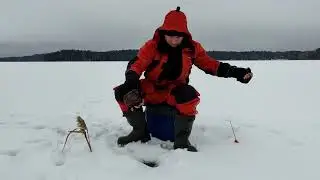 На 2 Денька На Зимнюю Щуку(4к)