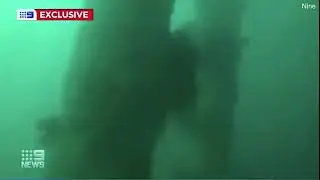 Схватка подводного охотника с одной из самых агрессивных акул попала на видео