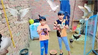 Today Brish Enjoying with My Hen Salding || Happy raining || Hen salping very funny 🤣