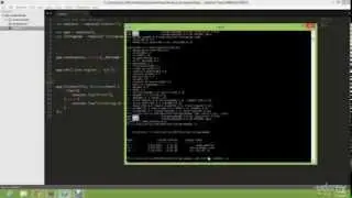1: Setting up Node.js