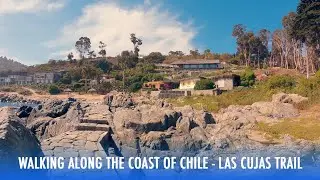 Walking along the Coast of Chile: Las Cujas Trail - Zapallar (Binaural Beach Sounds) | 4K 50fps
