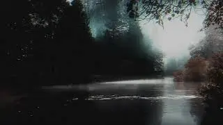 NO OWLS - Remnants