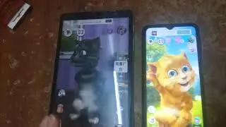 Talking Tom 2 & Talking Ginger Birthday 2 Echo 851